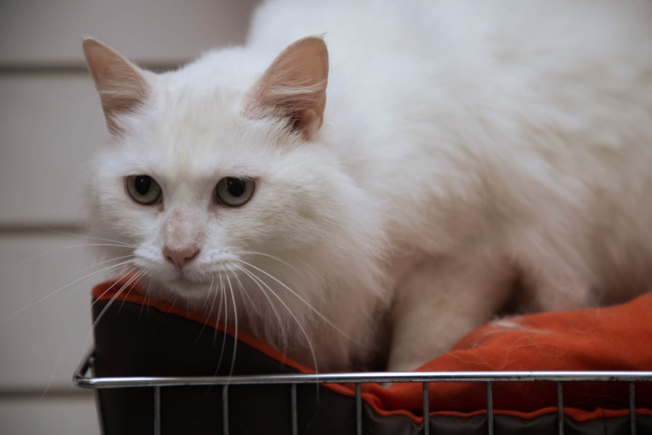 WhatsApp Image 2025-08-06 at 17.00.23