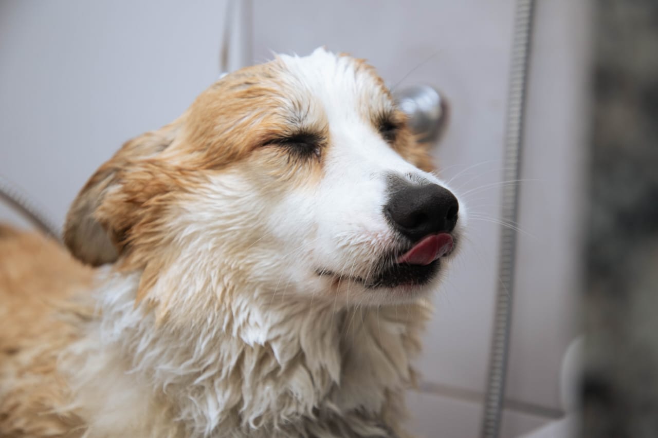 WhatsApp Image 2025-08-06 at 17.00.24 (1)