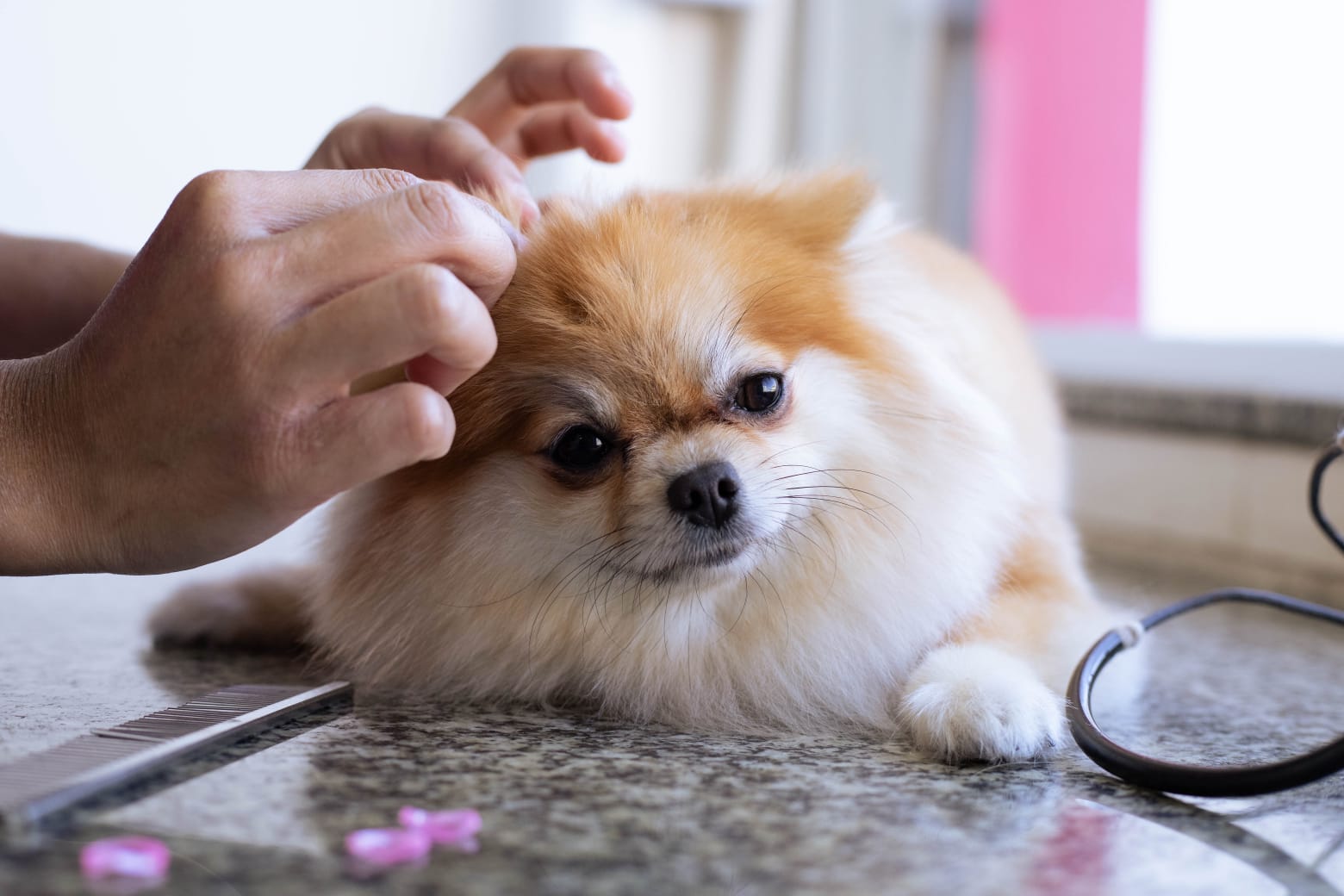 WhatsApp Image 2025-08-06 at 17.00.24 (4)