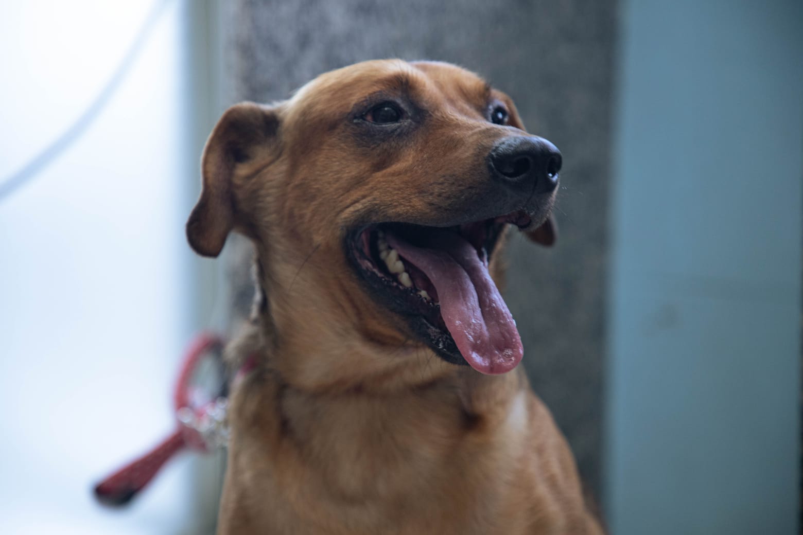 WhatsApp Image 2025-08-06 at 17.00.25 (2)